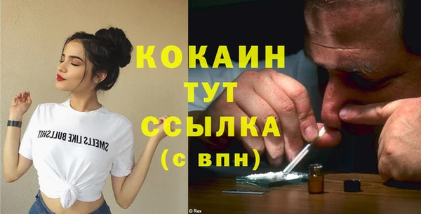 PSILOCYBIN Майский