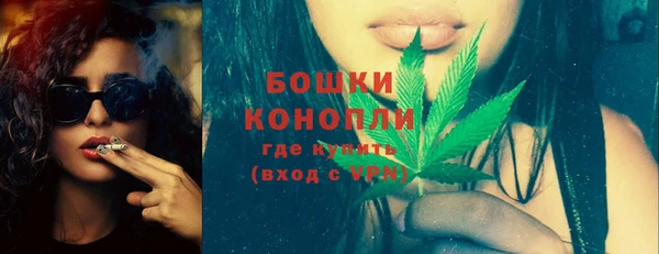 PSILOCYBIN Майский