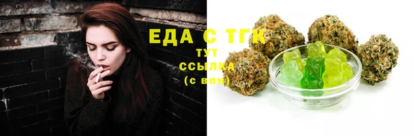 PSILOCYBIN Майский