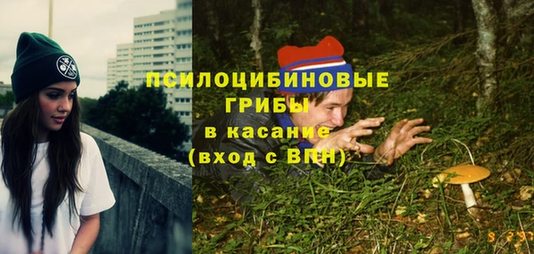 PSILOCYBIN Майский