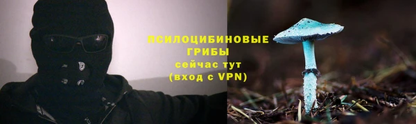 марихуана Магас