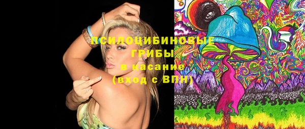PSILOCYBIN Майский