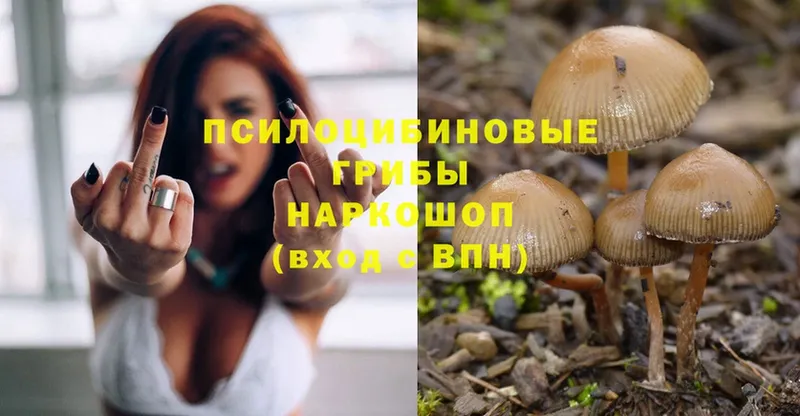 Галлюциногенные грибы Magic Shrooms  что такое   Отрадное 