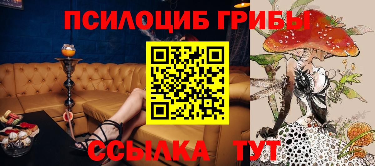 Псилоцибиновые грибы GOLDEN TEACHER Отрадное