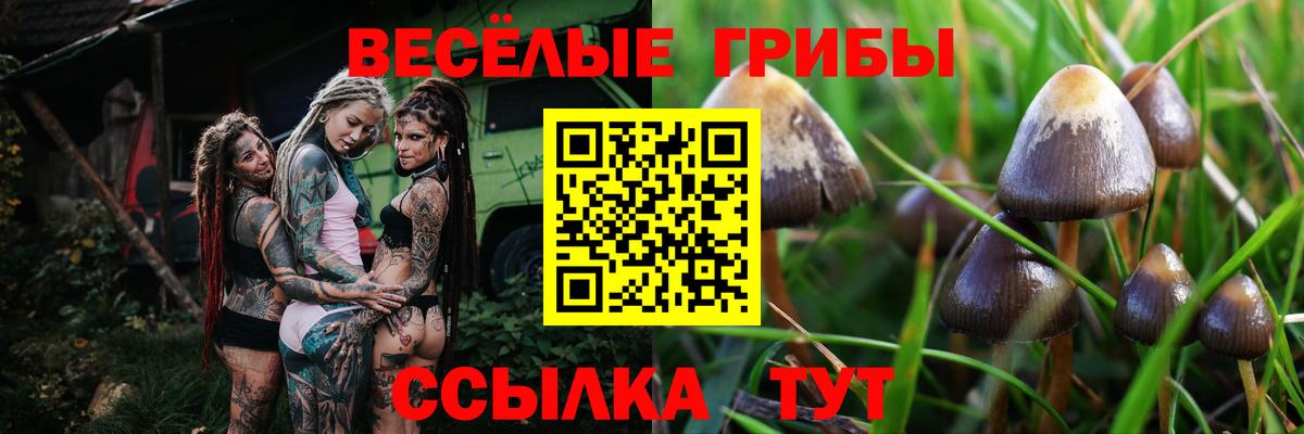 Галлюциногенные грибы Magic Shrooms  Вход с VPN  Отрадное 