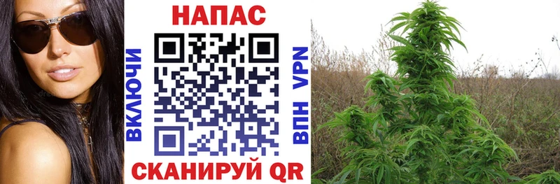 Каннабис LSD WEED  как найти наркотики  Отрадное 